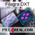 Filagra DXT 37